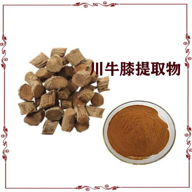 川牛膝提取物 浸膏 速溶粉 川牛膝原粉 沃特莱斯生物 可寄样