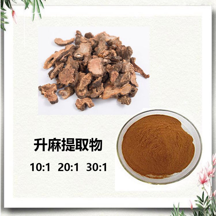 升麻提取物 萃取粉 喷雾干燥粉 120目精细粉末 支持拿样