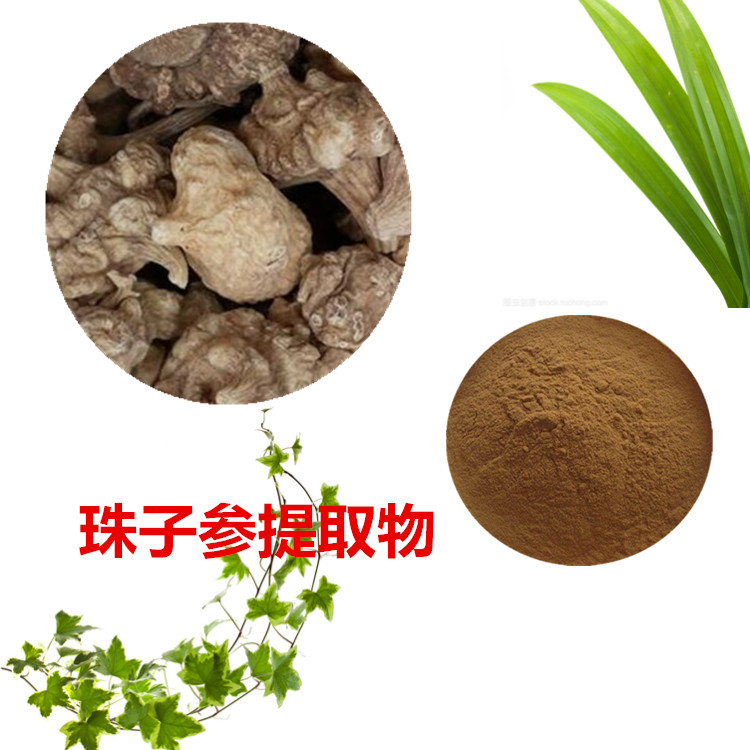 珠子参提取物 10:1 水提 珠子参浸膏 珠子参浓缩粉 5倍浓缩