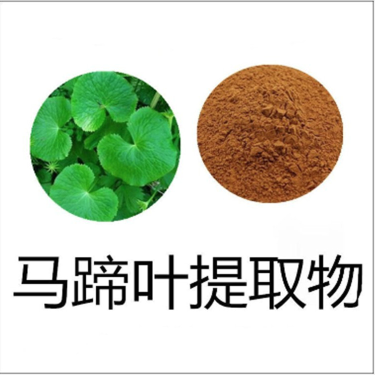 马蹄叶提取物 10:1 水提 马蹄叶粉 马蹄叶浸膏 1.13比重