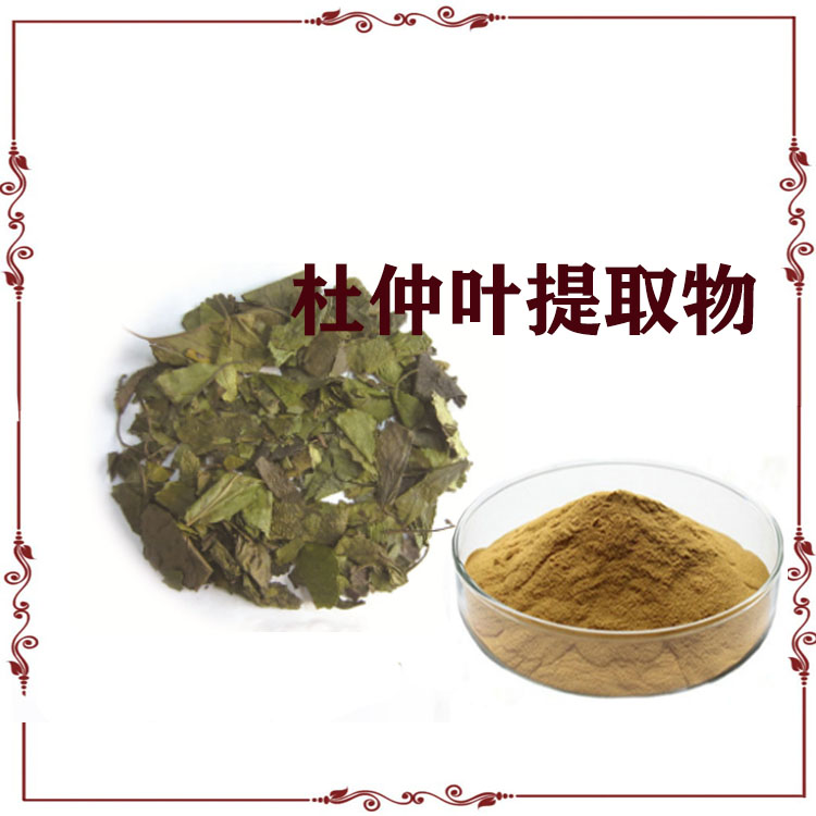 杜仲提取物 杜仲叶粉 浸膏粉 喷雾干燥粉 质量稳定