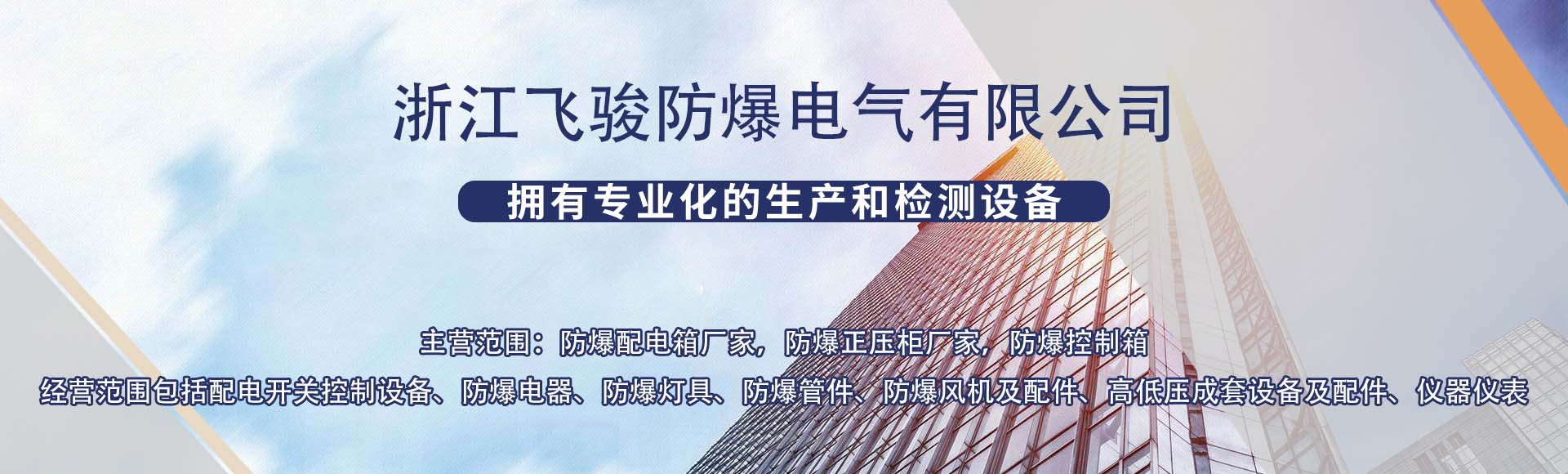 浙江飞骏防爆电气有限公司