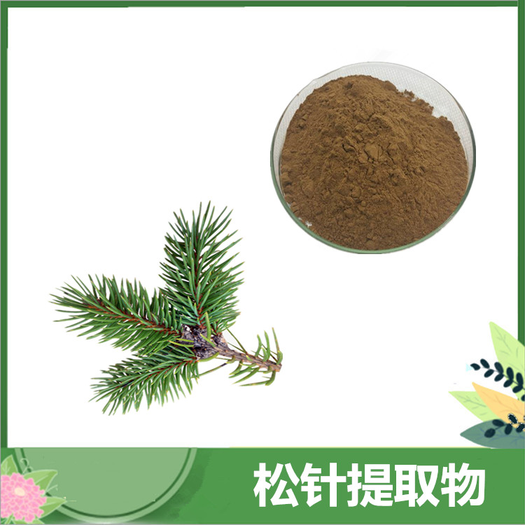 松针提取物 10:1比例松针素 浓缩萃取松针/松叶粉 植物提取现货 免费发样