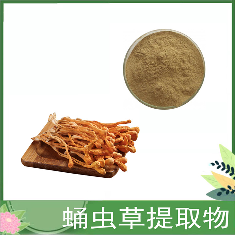 10:1 蛹虫草提取物 蛹虫草粉 子实体比例萃取蛹多糖 水溶性粉末 喷雾干燥