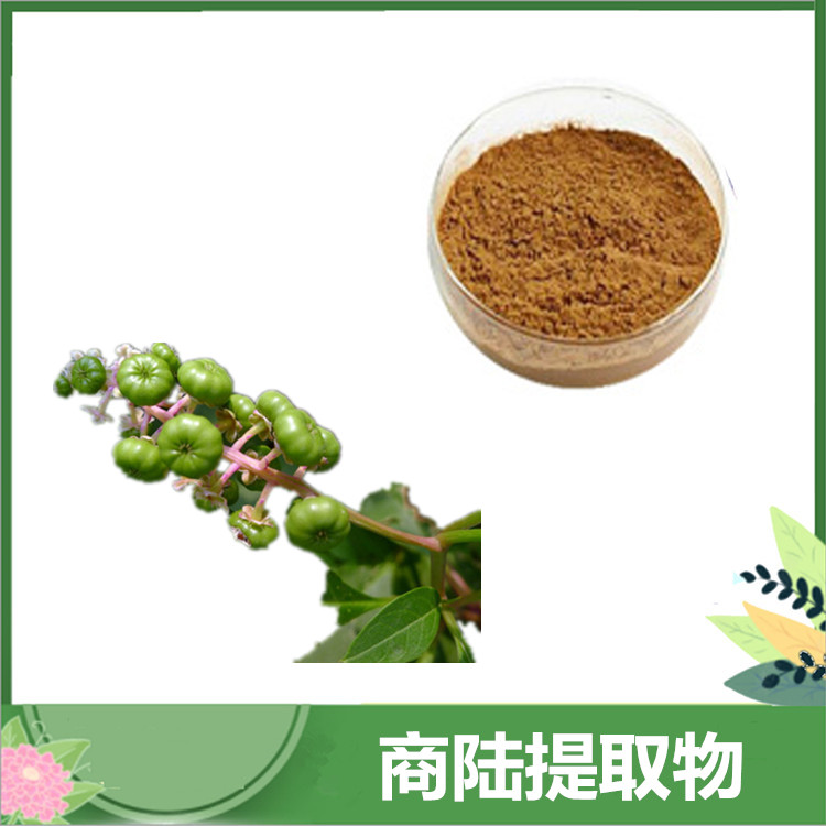 商陆粉 10:1商陆提取物 植物山萝卜/花商陆萃取原料 SC厂家供应 可发样