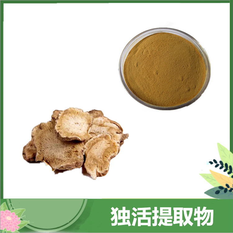 独活提取物 10:1蛇床子素 植物独活粉 植提独活根茎原料 独活多糖 量大从优