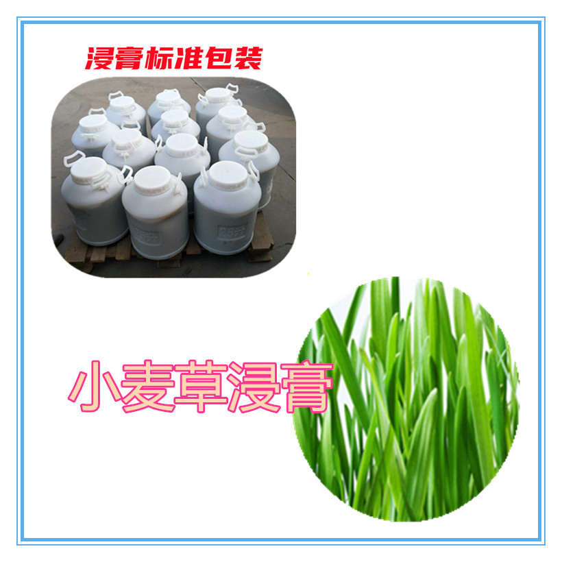 水解小麦蛋白 小麦膳食纤维 70%  小麦浓缩粉 小麦提取液 10:1