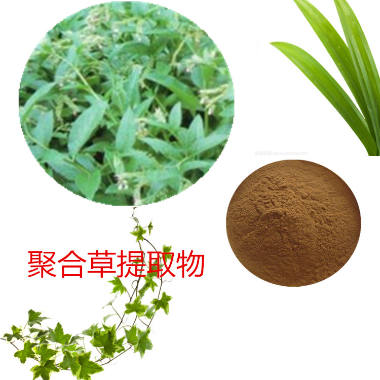 聚合草提取物 10:1 水提多规格比例 聚合草粉 浸膏粉