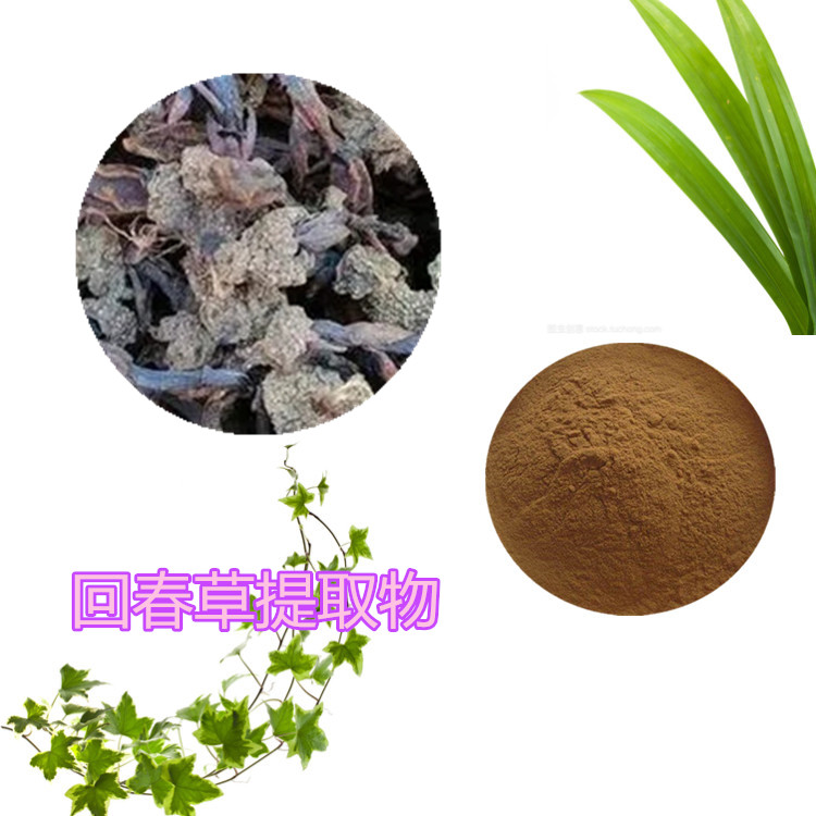 回春草提取物 10:1 睡衣 回春草浸膏 1.15比重 回春草浓缩粉