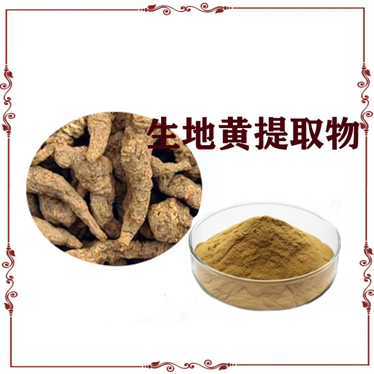生地黄提取物 浸膏粉 速溶粉 120目精细粉末 质量稳定 库存充足