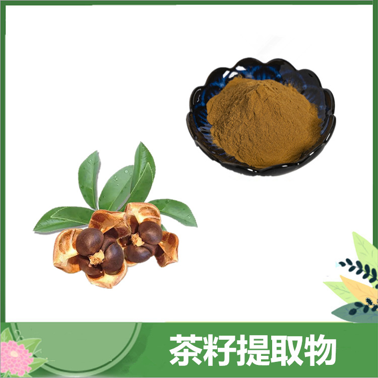 60%-98%茶皂素 油茶籽萃取茶皂素 茶树籽比例提取物 茶皂甙 现货