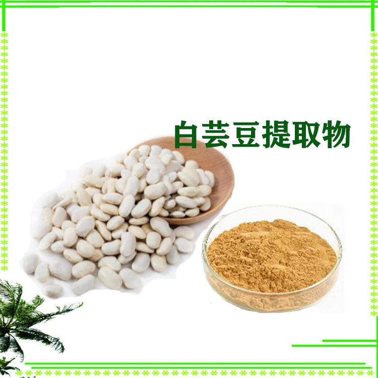 白芸豆提取物 速溶粉 喷雾干燥粉 粉末细腻 质量稳定
