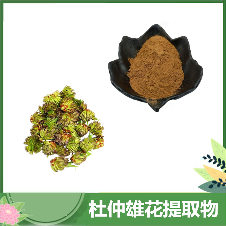 杜仲雄花提取物 30:1/50:1萃取杜仲雄花粉末 杜仲雄花粉 现货供应