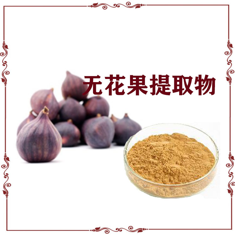 无花果提取物 速溶粉 喷雾干燥粉 质量稳定 可寄样