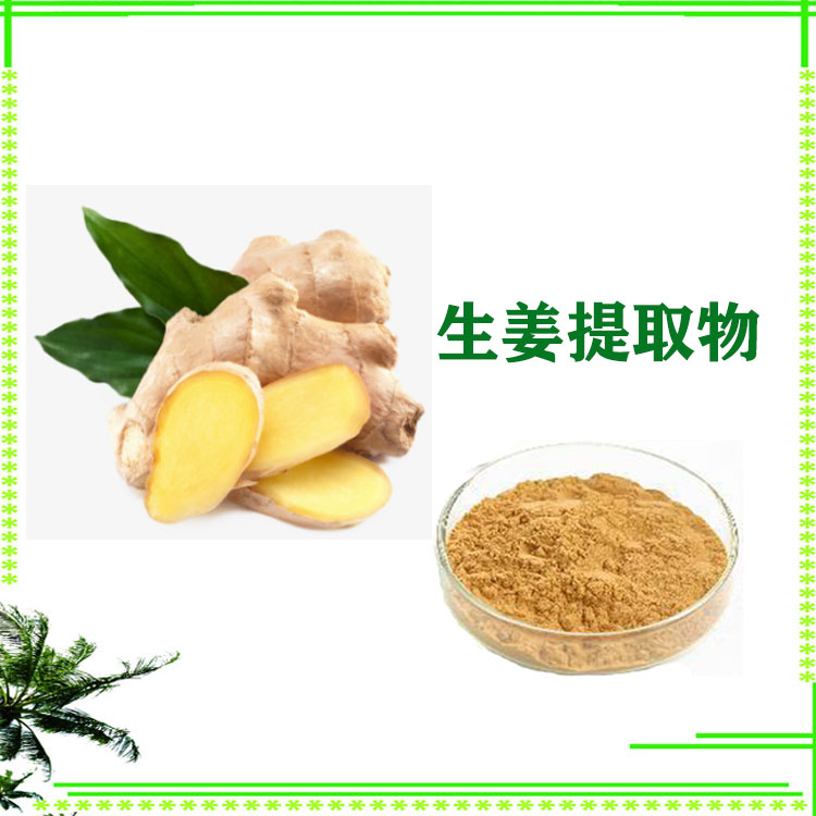 生姜提取物 生姜速溶粉 提取液 多种规格 可寄样