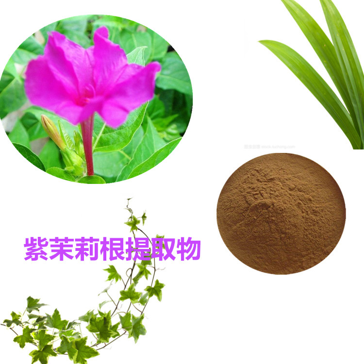 紫茉莉提取物 10:1 水提 多规格比例 紫茉莉水溶粉 80目