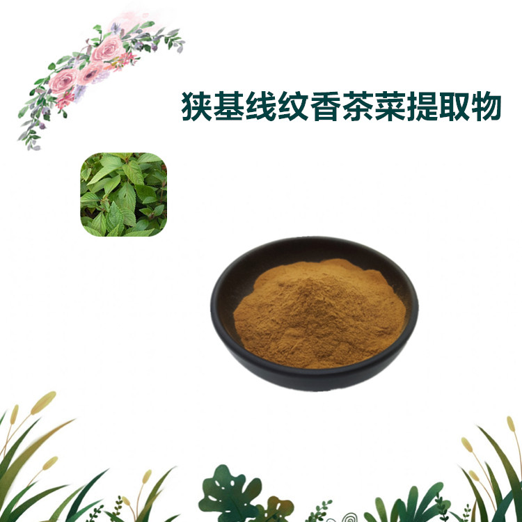 沃特莱斯生物 狭基线纹香茶菜提取物 水溶粉 1公斤起订 可寄样