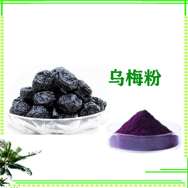 乌梅粉 速溶粉 乌梅提取物 质量稳定 沃特莱斯生物