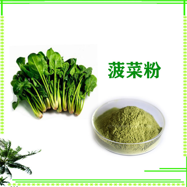 水溶性菠菜粉 菠菜提取物 绿色粉末 食品级 大量库存