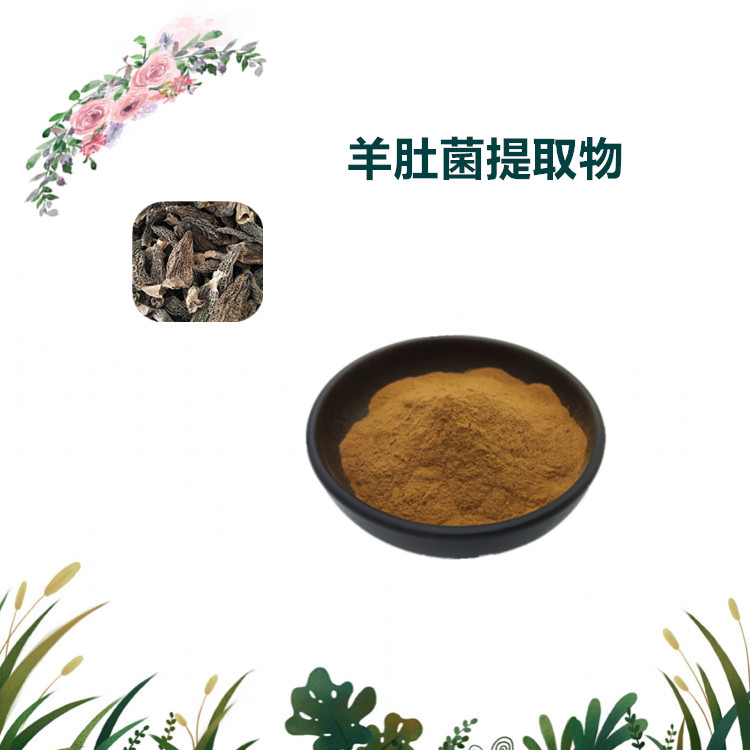 沃特莱斯生物 羊肚菌粉 羊肚菌提取物 全水溶 1公斤起订