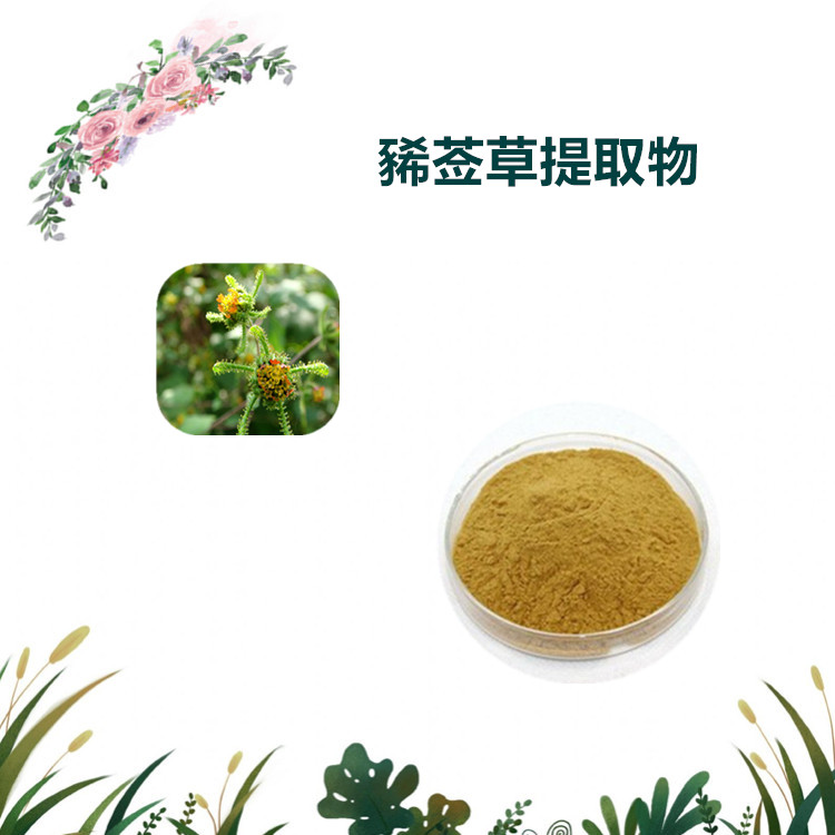 沃特莱斯生物 豨莶草提取物 速溶粉 喷雾干燥粉 1公斤起订