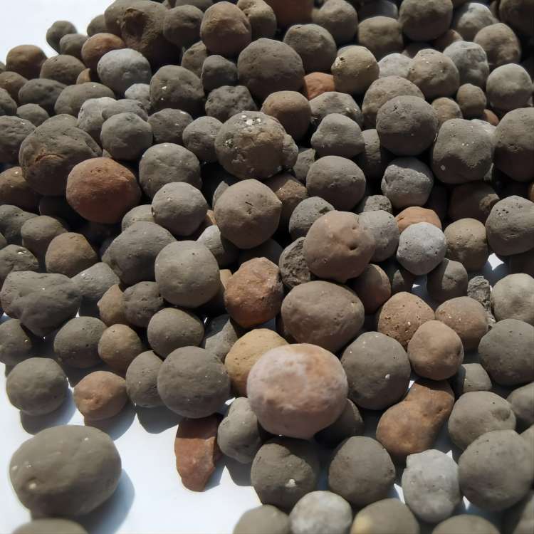 生物陶粒滤料 微生物载体填料 生物滤池陶粒填料 锐凯环保