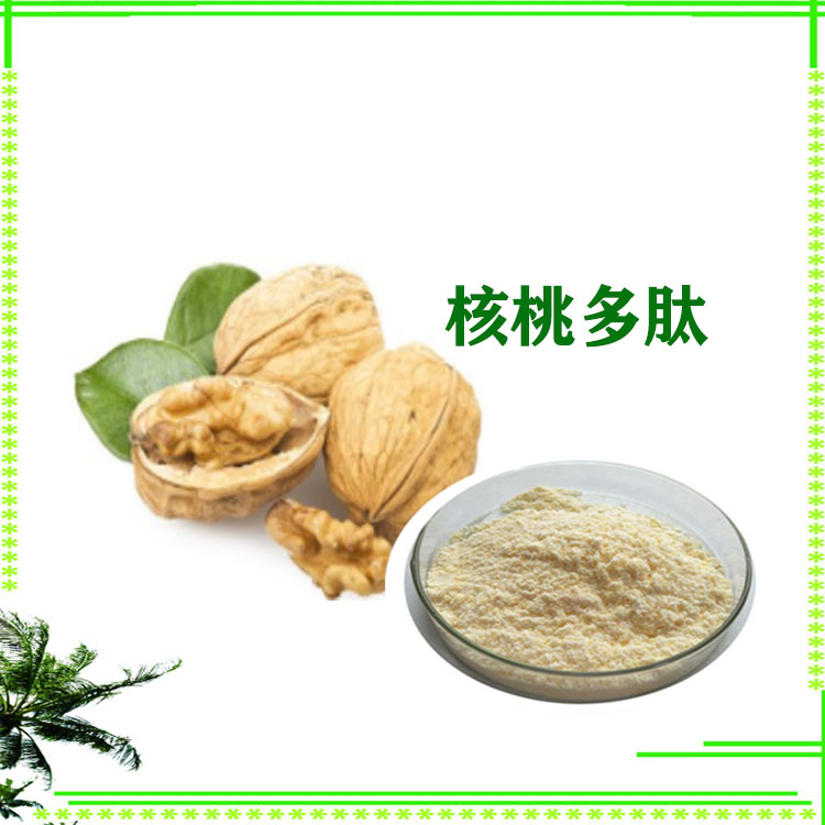 核桃肽 小分子肽 核桃速溶粉 核桃仁提取物 各种规格 大量库存