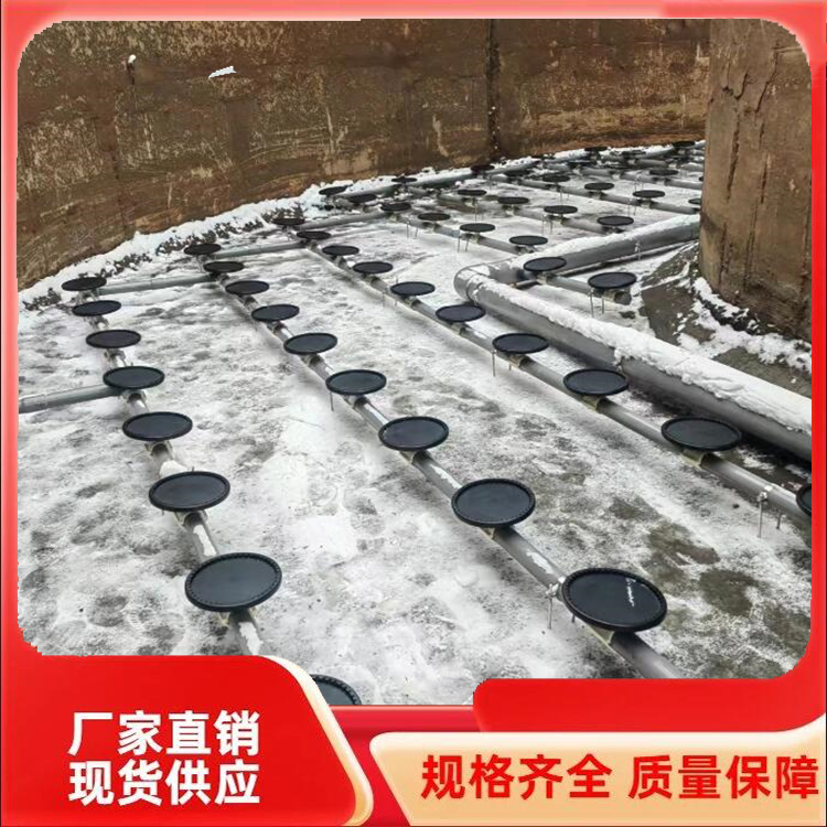 膜片式曝气器 (6)