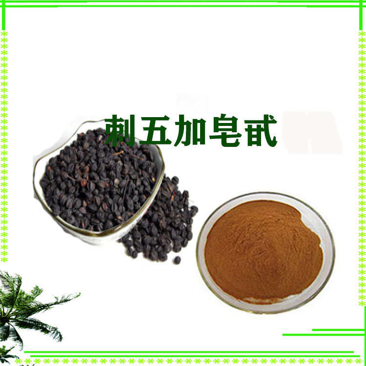 刺五加提取物 浸膏粉 刺五加皂甙 喷雾干燥粉 支持拿样