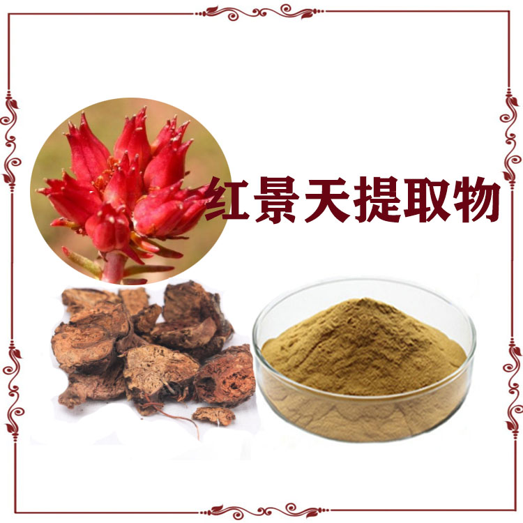 红景天提取物 速溶粉 喷雾干燥粉 红景天甙  沃特莱斯生物