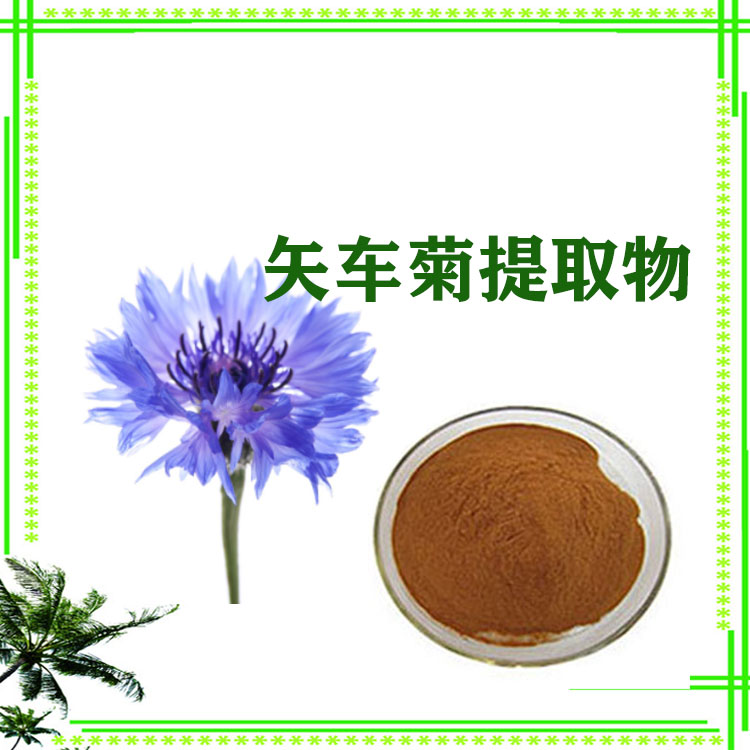 矢车菊提取物 速溶粉 萃取粉 生粉 粉末细腻 库存充足