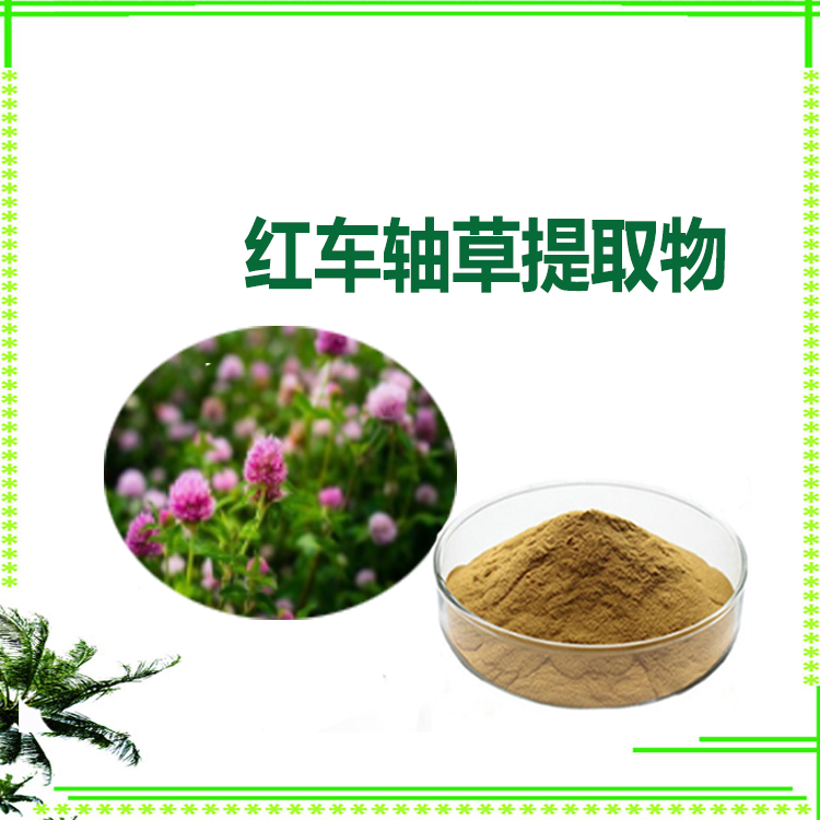 红车轴草提取物 萃取粉 浸膏粉 质量稳定 大量库存