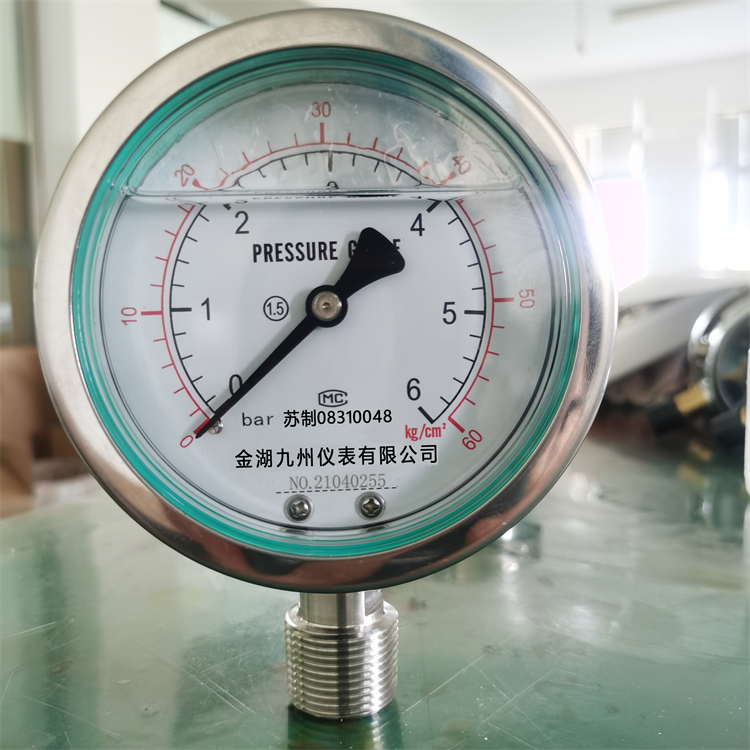 抗震压力表 (5)