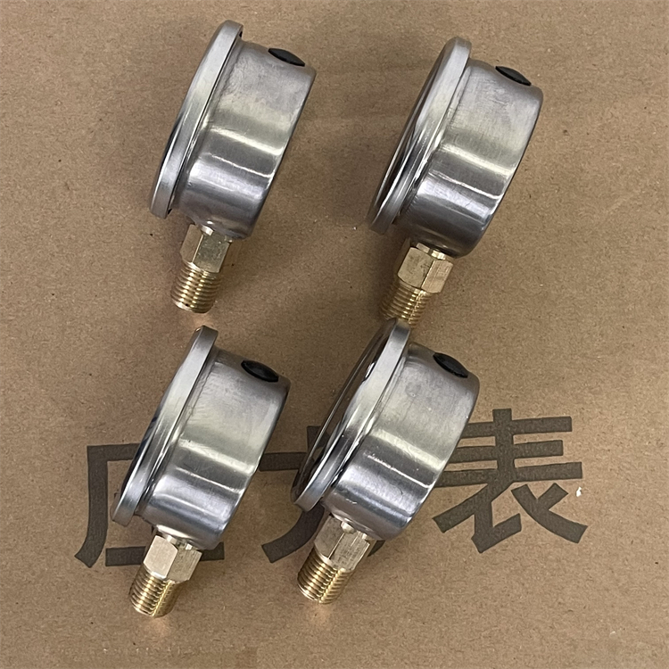 小直径式压力表 (10)