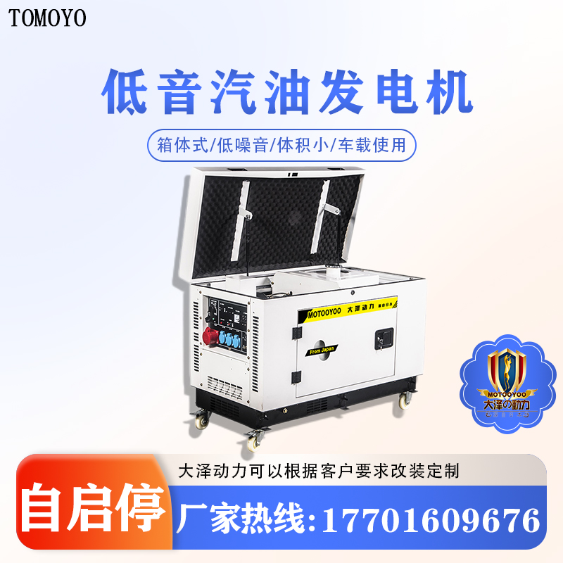 大泽动力 电启动8KW静音汽油发电机 TOTO8