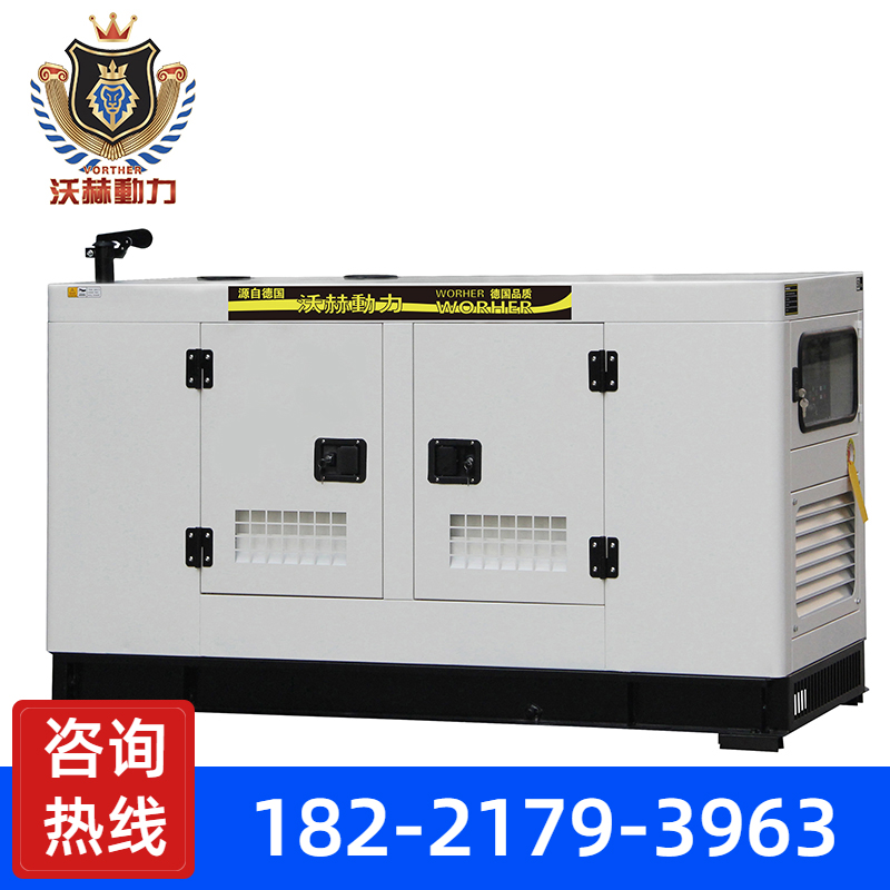 大功率发电机VH-20DLTC  3