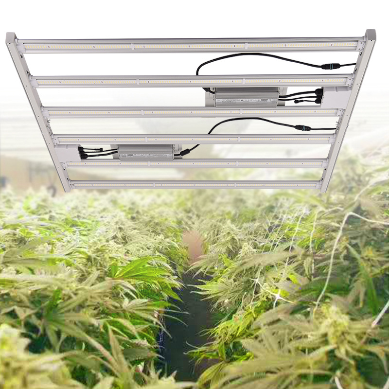 植物灯 (7)