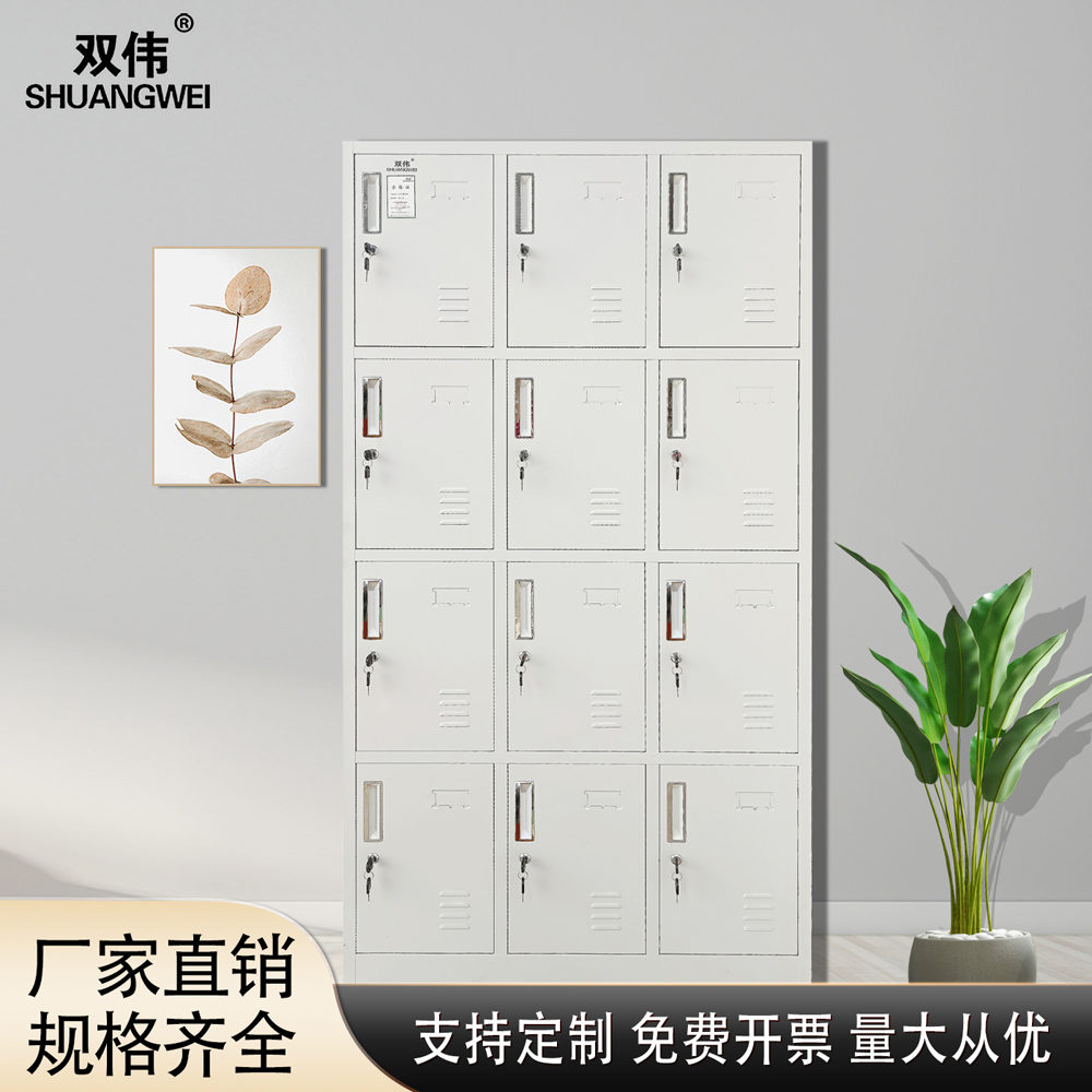 十二门 员工储物柜 生产定做加工定制铁皮钢制拆装更衣柜