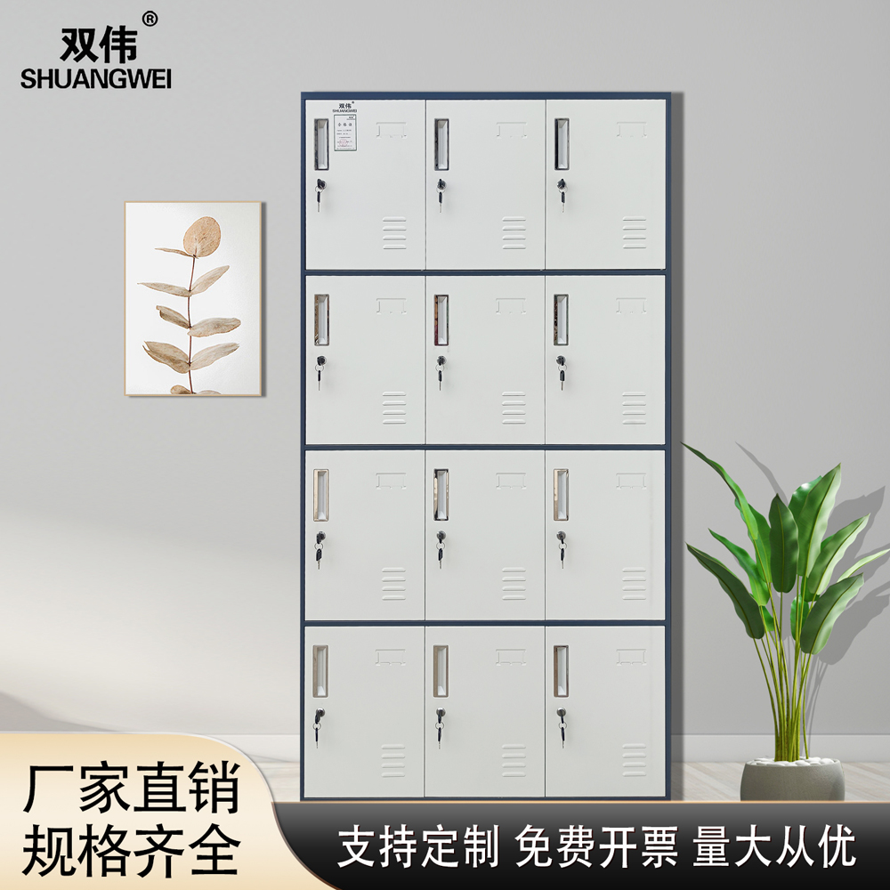 十二门 员工储物柜 钢制员工更衣柜学生储物柜带锁