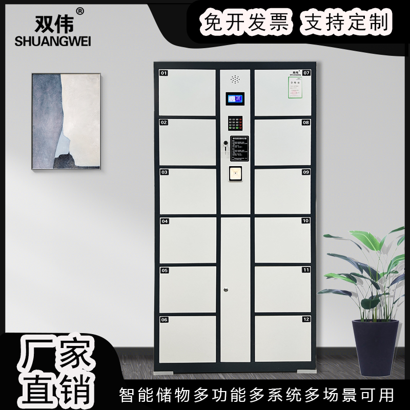 电子存包柜 多功能 电子存包柜 超市商场用 支持定制
