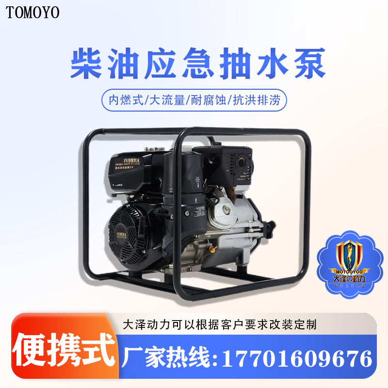 防汛应急2寸柴油抽水泵 大泽动力TO20ET-V