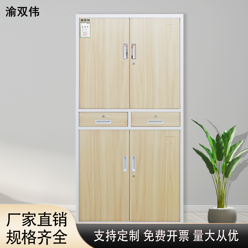 中二斗 带抽文件柜 不锈钢储物柜 带抽屉带锁 财务档案柜定制