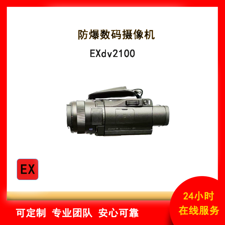 Ex ib IICT5防爆数码摄像机