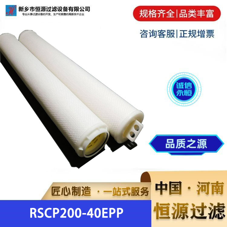 PP替代大流量折叠滤芯RFP010-40NPX-L RFP050 100 500 大流量水滤芯