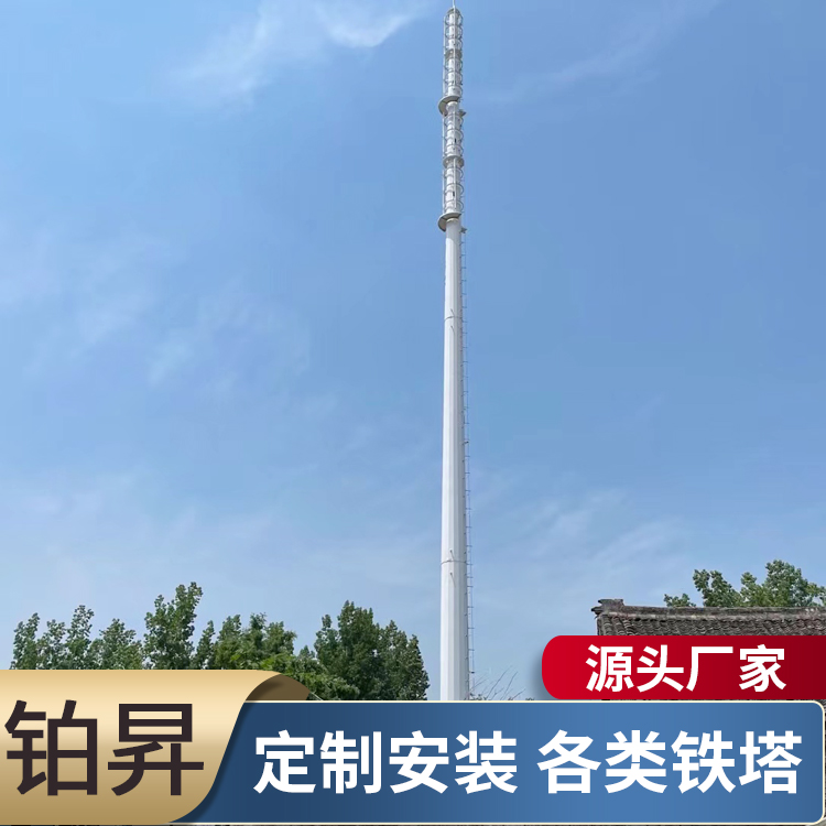 电力钢杆 10千伏终端杆 单管塔 避雷塔