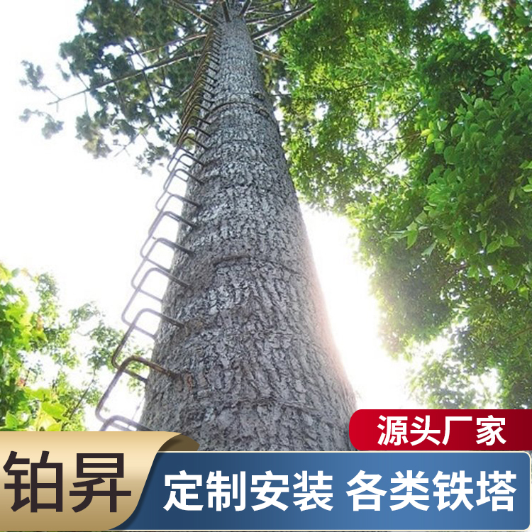 仿真松树棕树避雷塔 通讯铁塔 景观 工艺 公园 仿生树塔 户外建筑