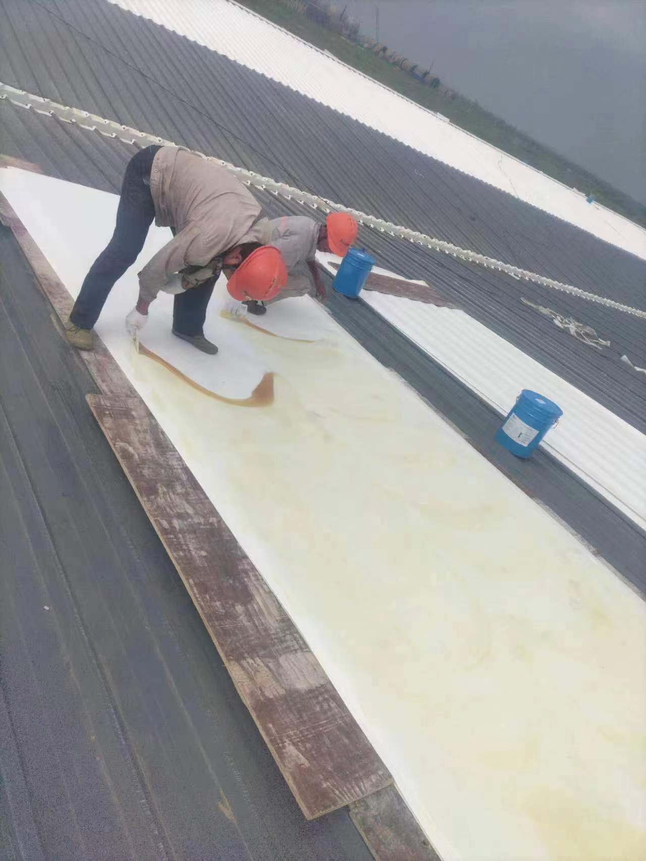 TPO/PVC防水卷材专用胶粘剂、氯丁胶、胶、氯丁酚醛胶、808胶