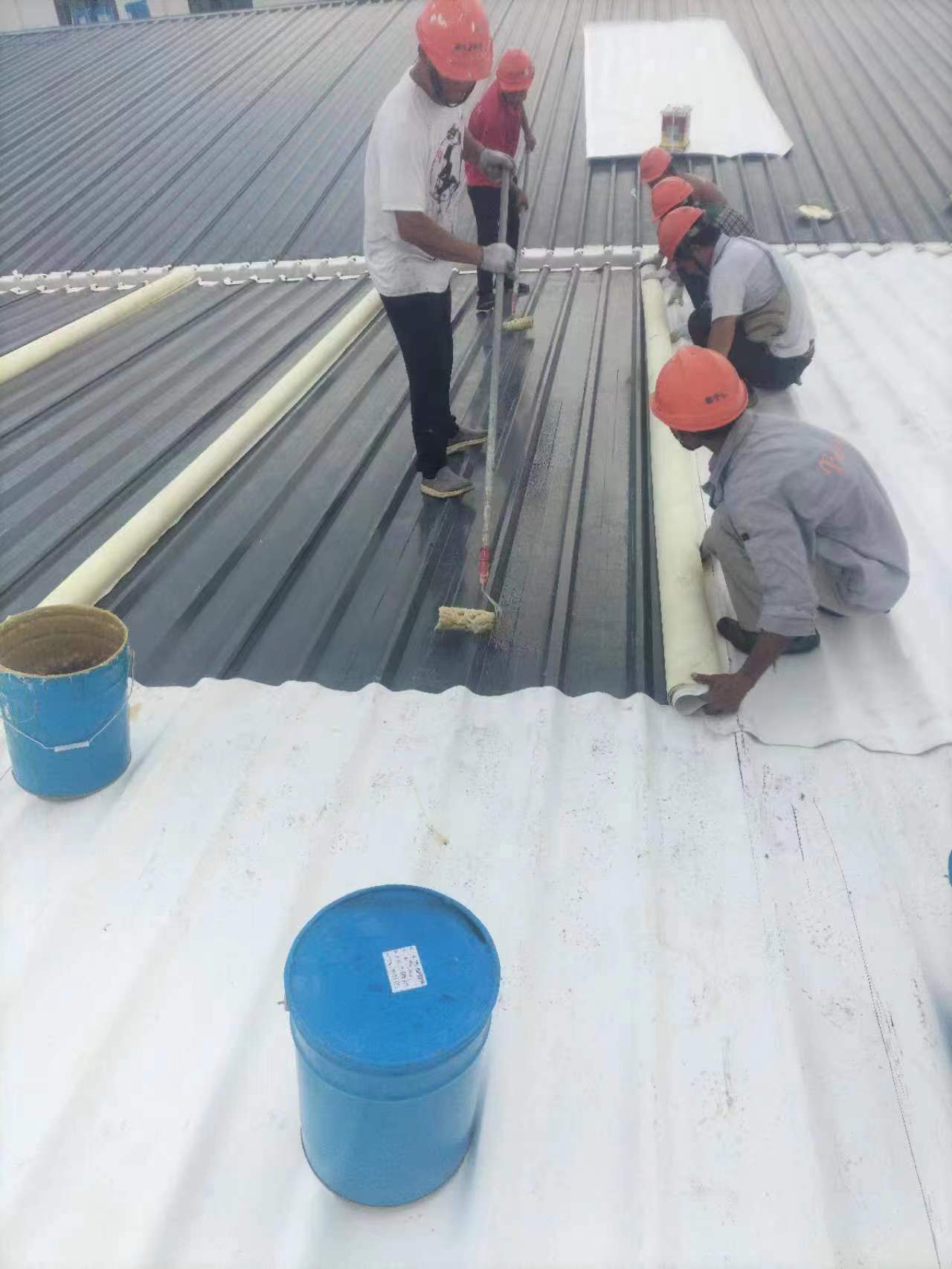 四川TPO胶水，四川氯丁胶，四川tpo胶粘剂，四川粘合剂，四川胶，四川氯丁强力胶，四川氯丁808胶