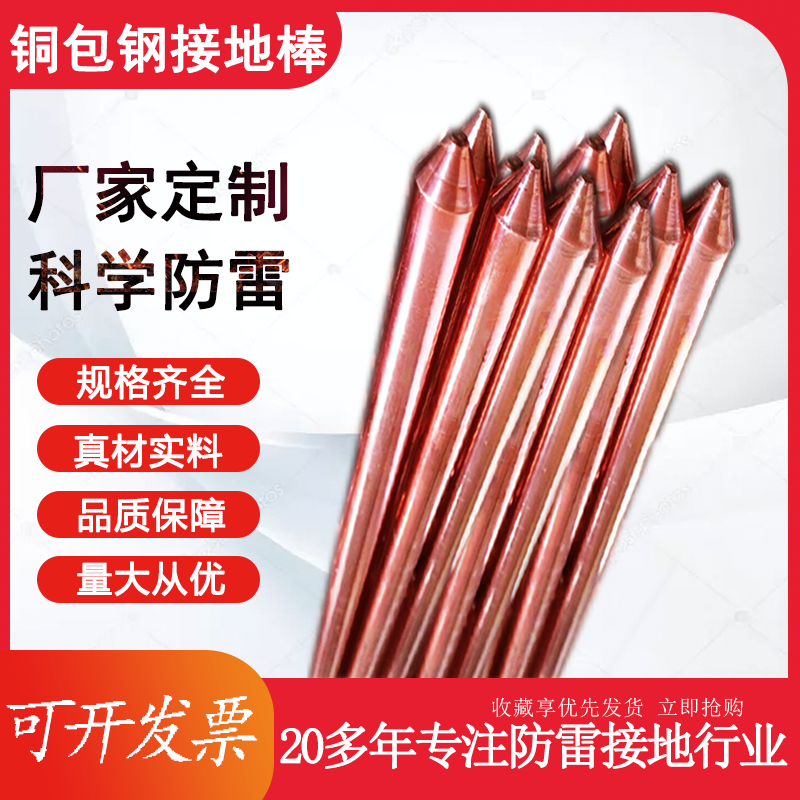 接地棒 (20)