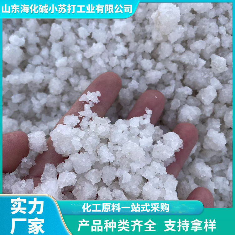 原盐 厂家直销 价格优惠  海化
